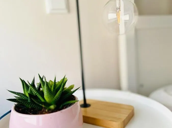 Hell, Gemuetlich, Zentral - Am Dom * ブラウンシュバイク